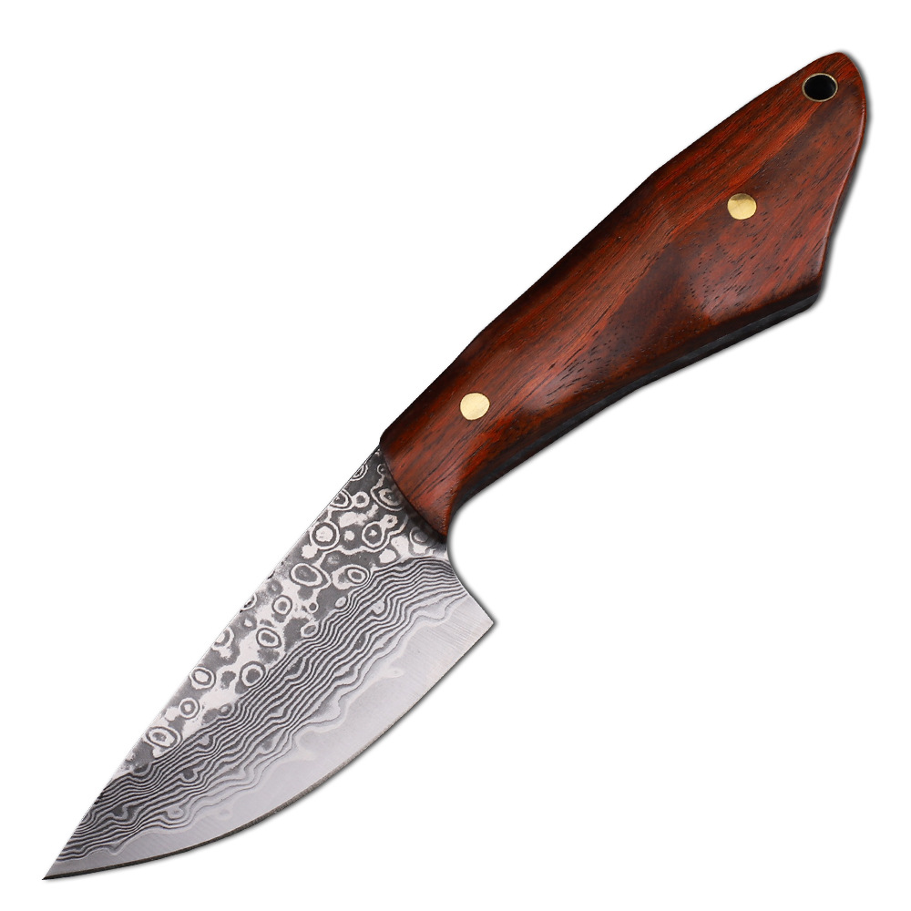 Vg10 Damaskus Stahl Jagdmesser – Hunting Camp Outdoor Kitchen Bewertung und Preis